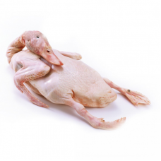 Whole Duck 