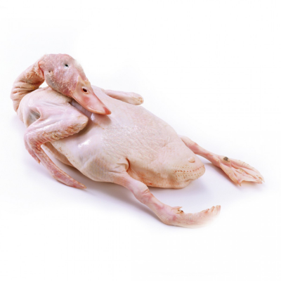 Whole Duck 