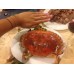 Crab Whole Ckd 800g-1.2k IW10kg/ctn