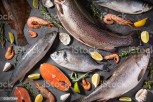Fisheries