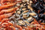 Seafood
